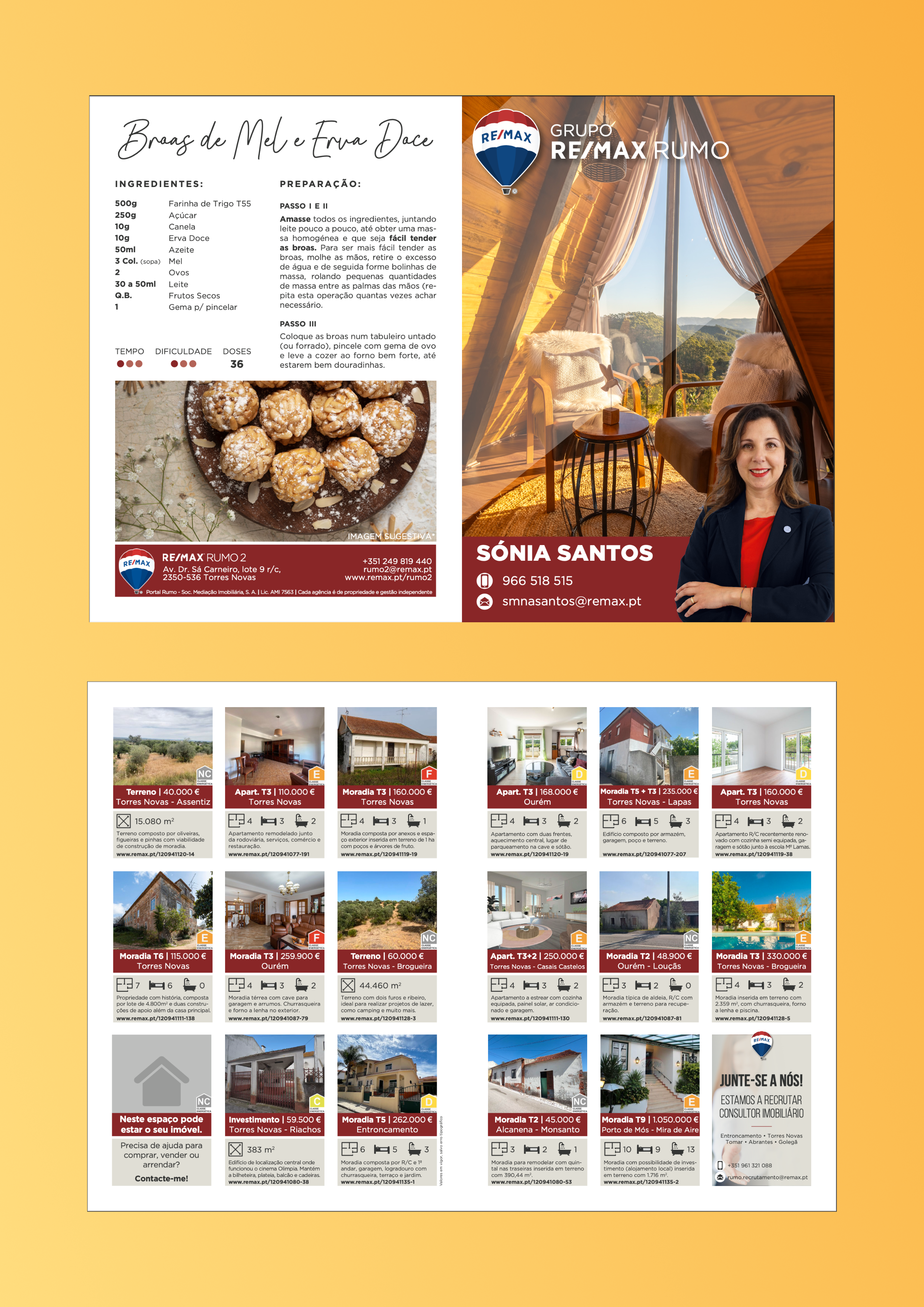 Revistas